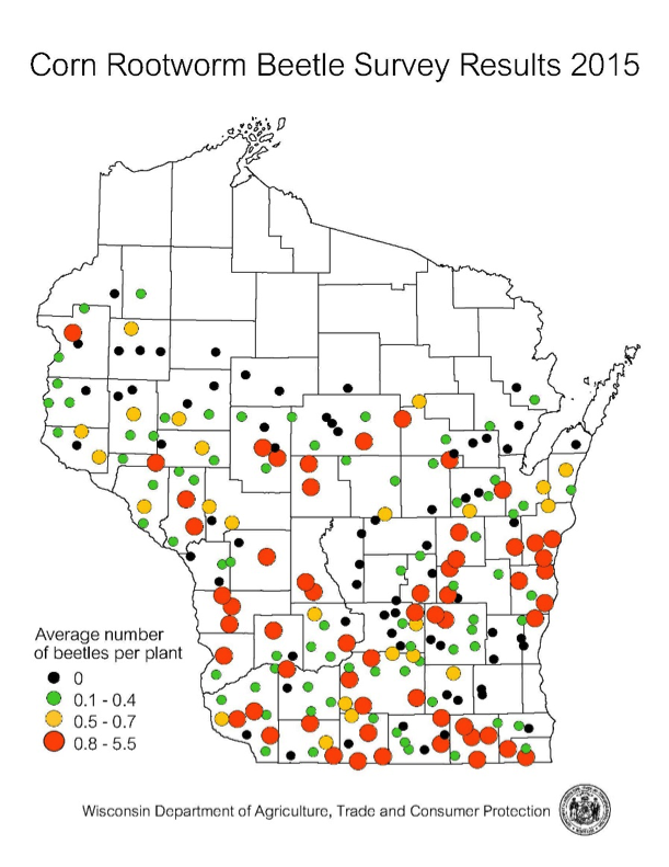 cornrootworm Integrated Pest and Crop Management UWMadison