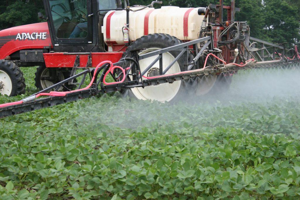 Soybean Flowers, Glyphosate Label, and Wheel Track Damage…Oh My