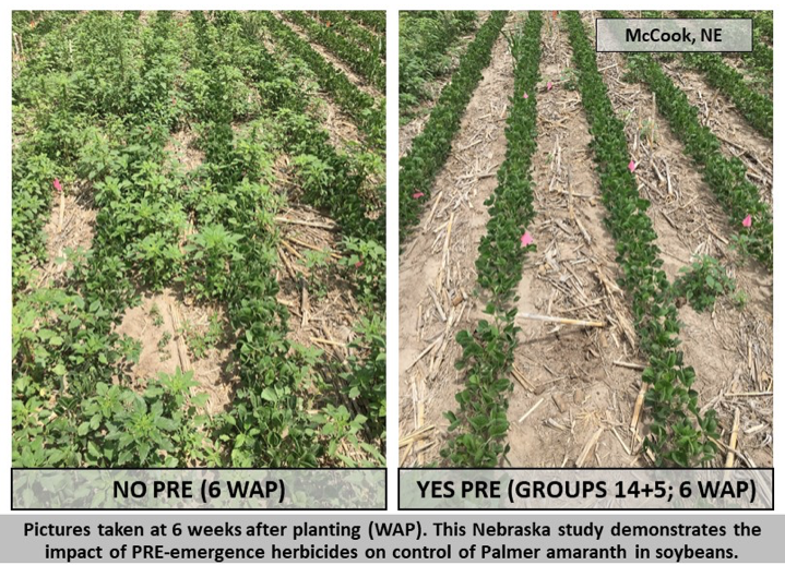 Are You PREEmergence Ready For Soybean Planting? Integrated Pest and