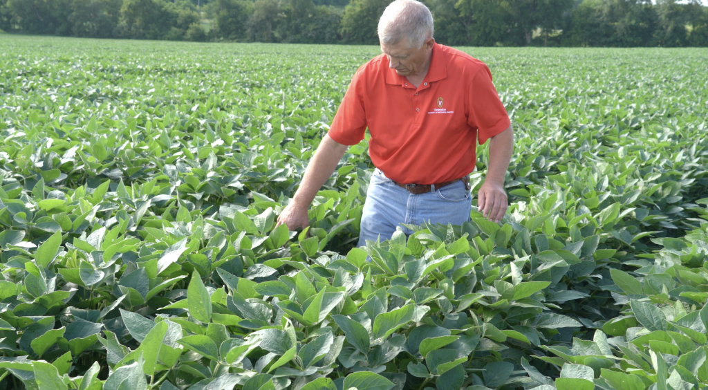 Wisconsin Soybean Yield Contest 2022 Integrated Pest and Crop